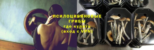мяу мяу мука Зеленодольск