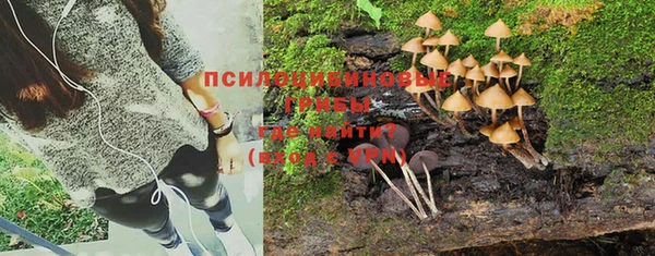 прущие крисы Зеленокумск