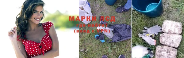 прущие крисы Зеленокумск