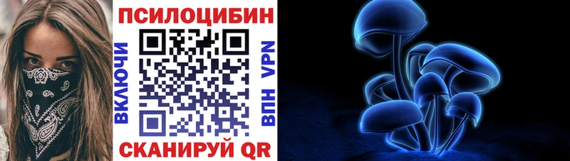 Купить закладки  Пыталово  Псилоцибиновые грибы прущие грибы 