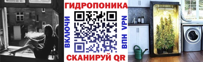 Купить закладки  Пыталово  Марихуана гибрид 